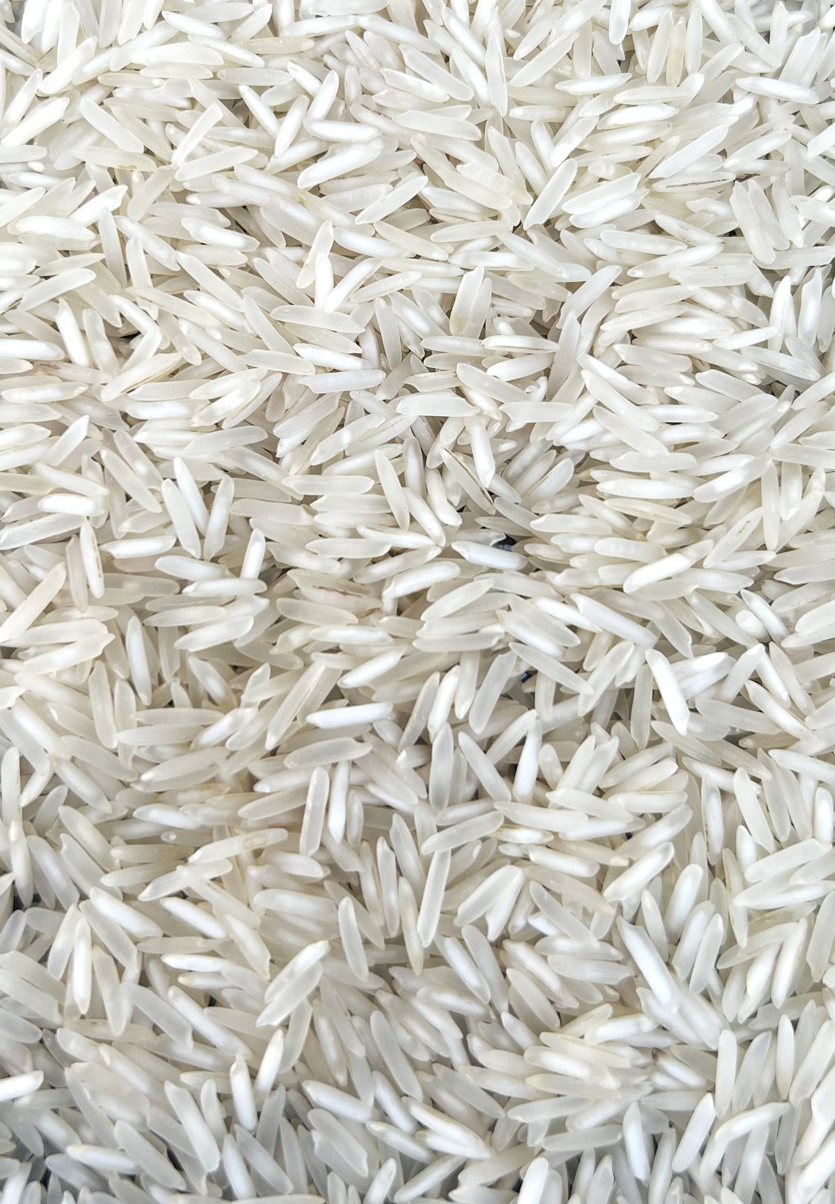 Pusa Steam Basmati Rice